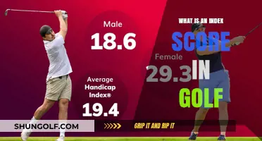 Understanding Golf's Index Score: A Beginner's Guide to Handicap Calculation