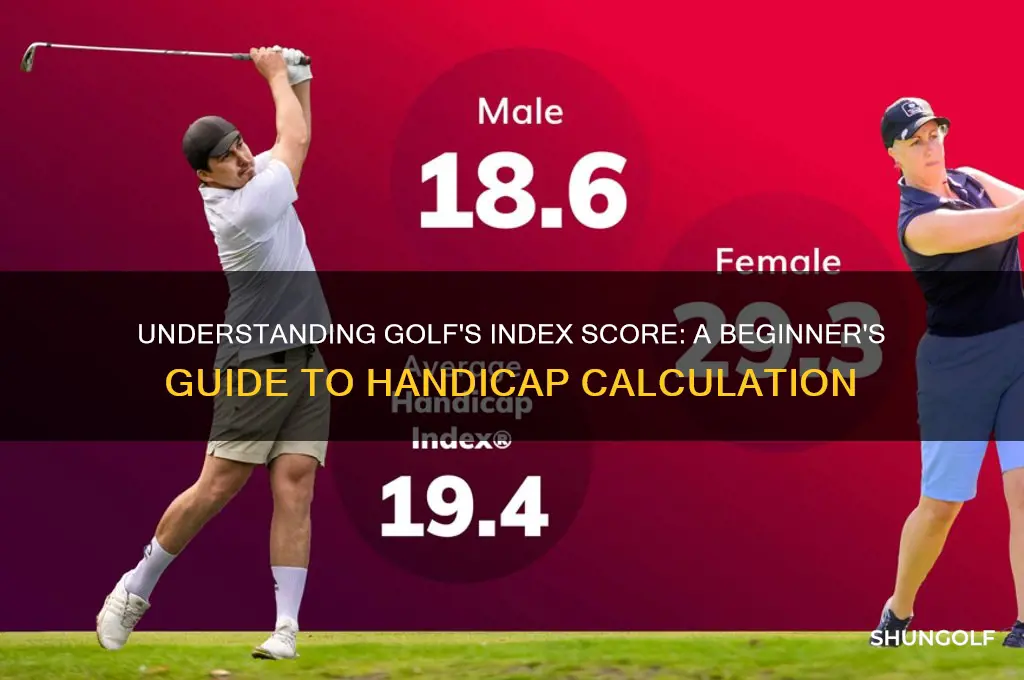 what is an index score in golf