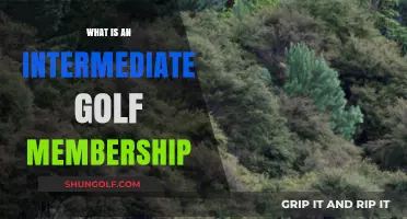 Golf Membership: Understanding the Intermediate Level
