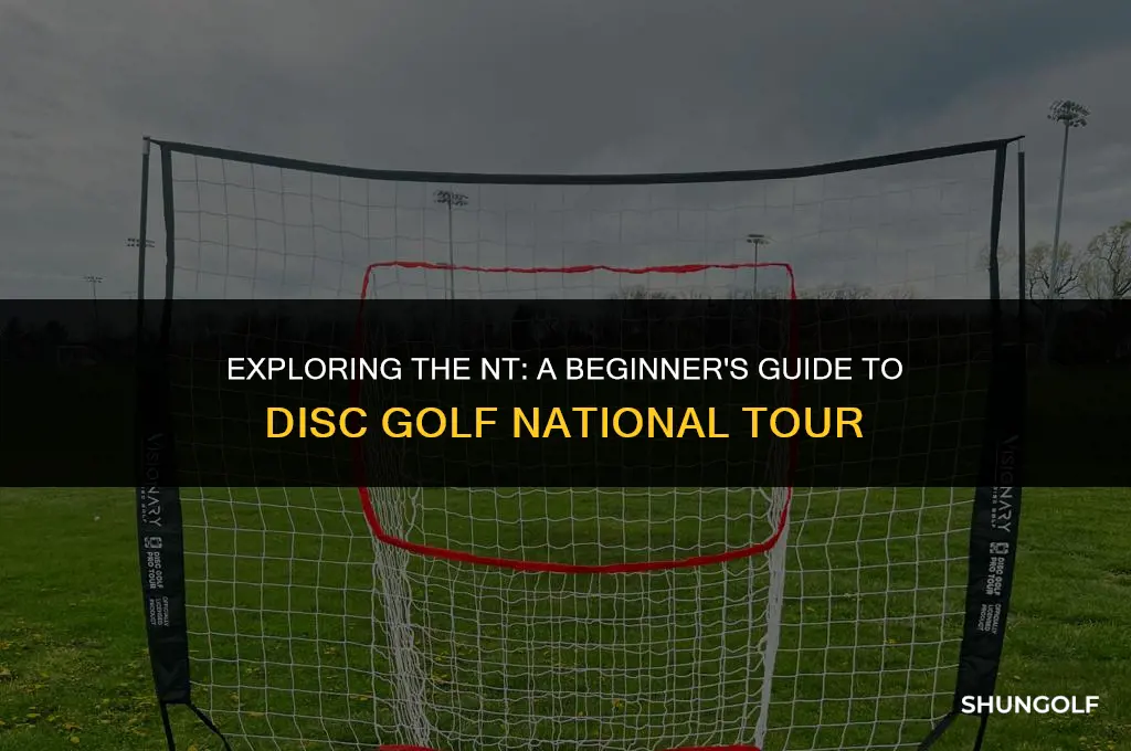 what is an nt in disc golf national tour