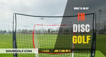 Understanding the Role of an NT in Disc Golf: A Comprehensive Guide