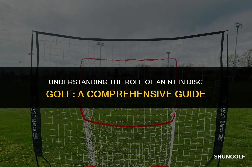 what is an nt in disc golf