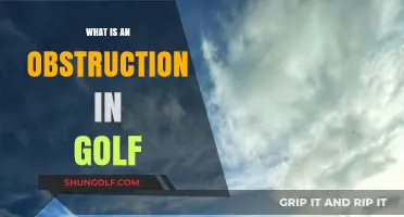 Understanding Golf Obstructions: What's in Your Way?