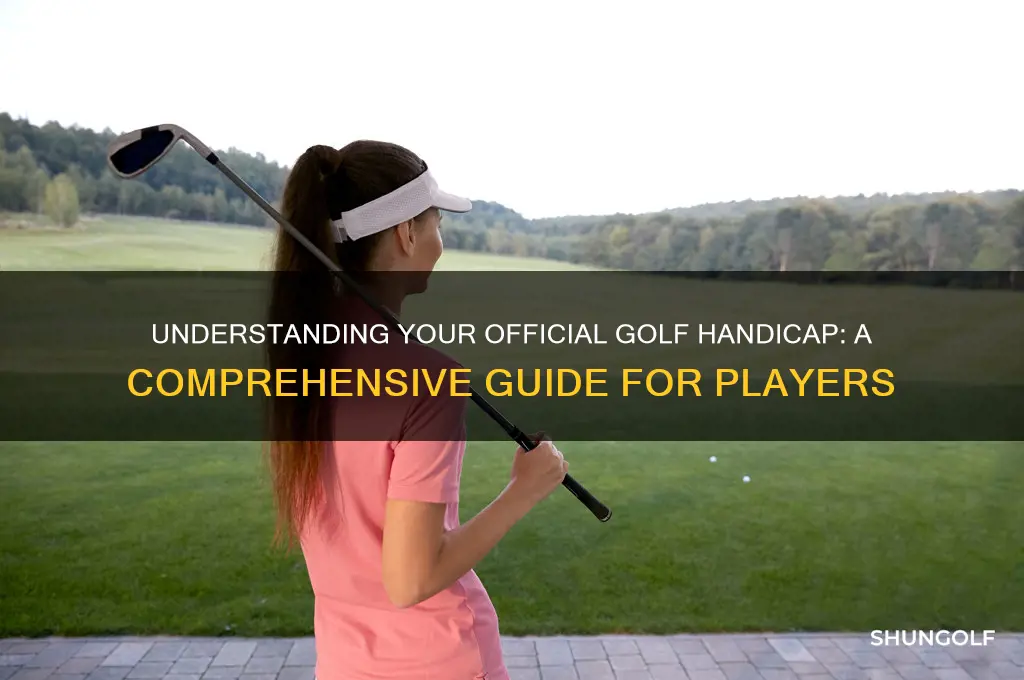 what is an official golf handicap