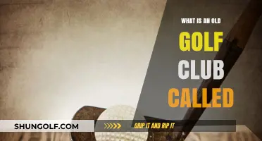 Unveiling the Vintage Charm: What is an Old Golf Club Called?