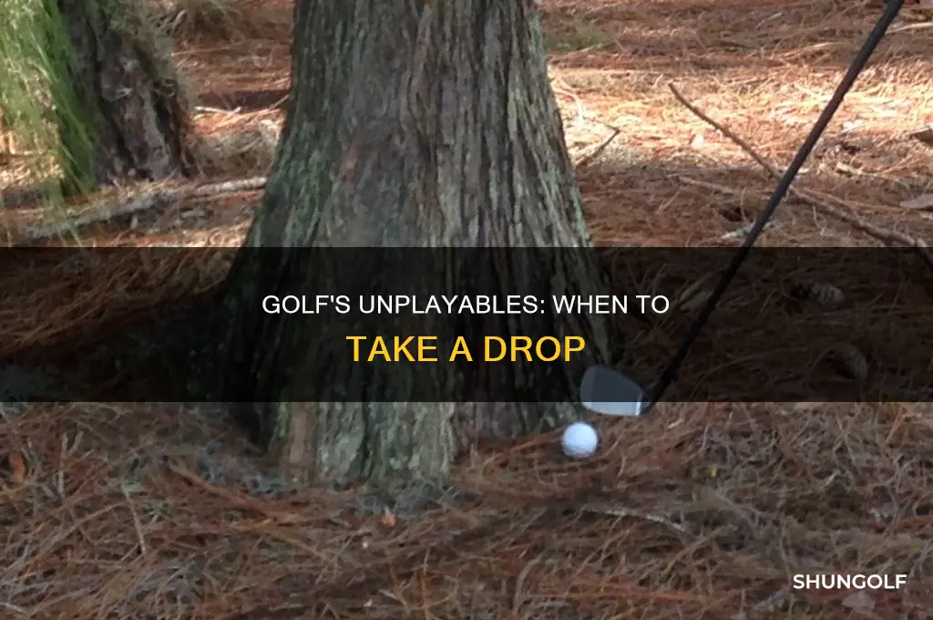 what is an unplayable in golf