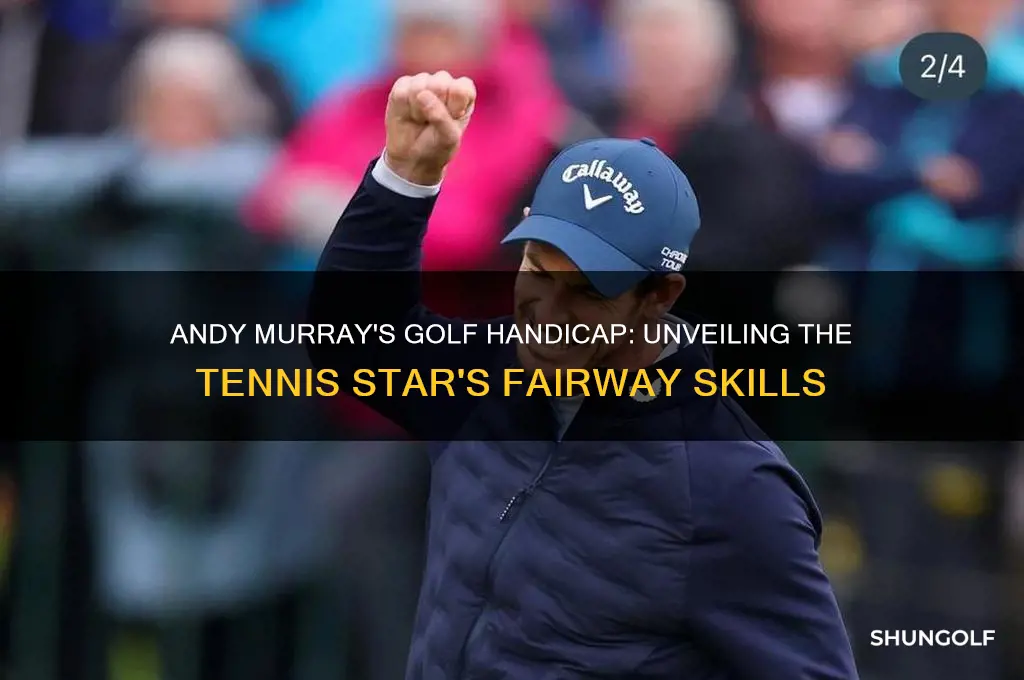what is andy murrays golf handicap
