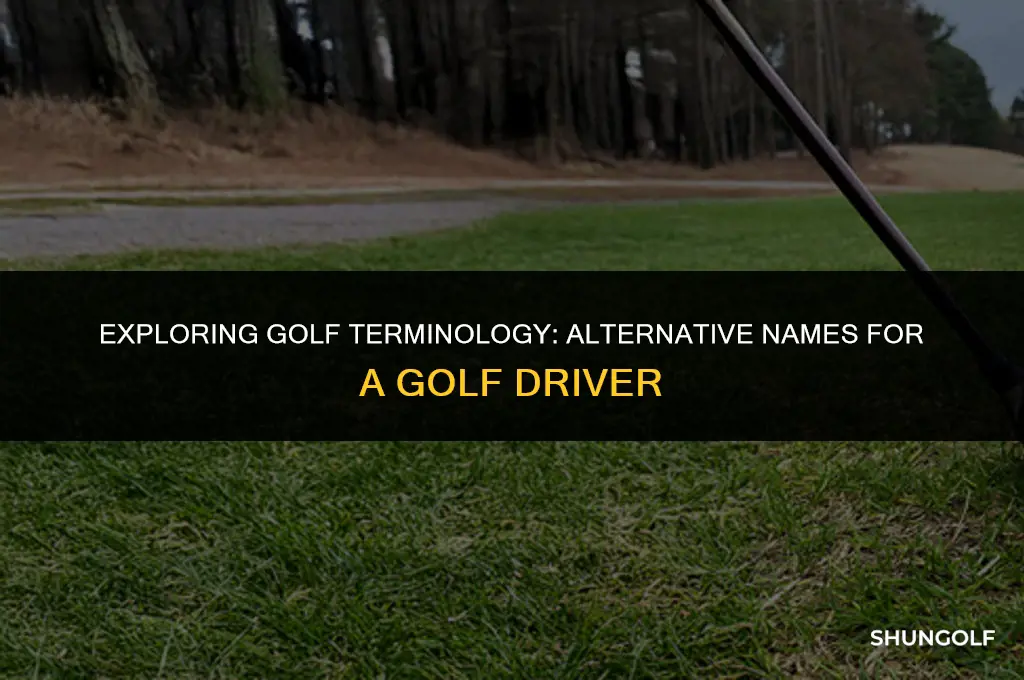 what is another name for a driver in golf