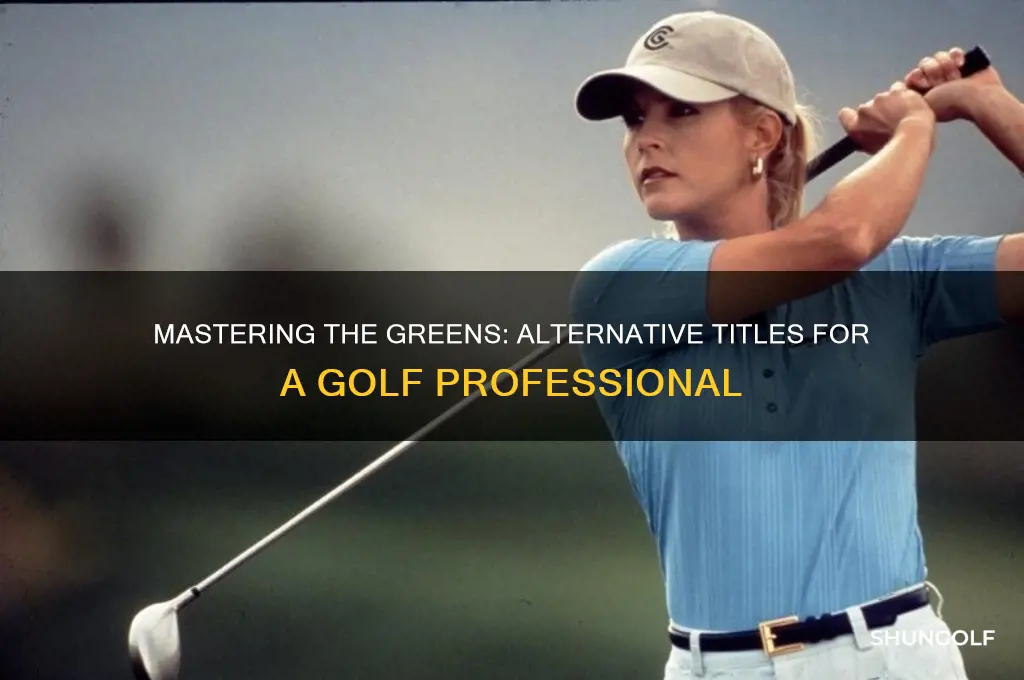 what is another word for golf pro