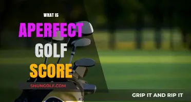 Golfing Glory: Achieving the Perfect Score