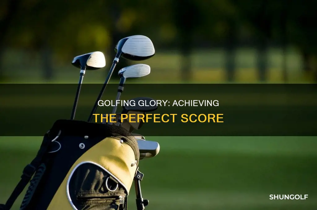 what is aperfect golf score