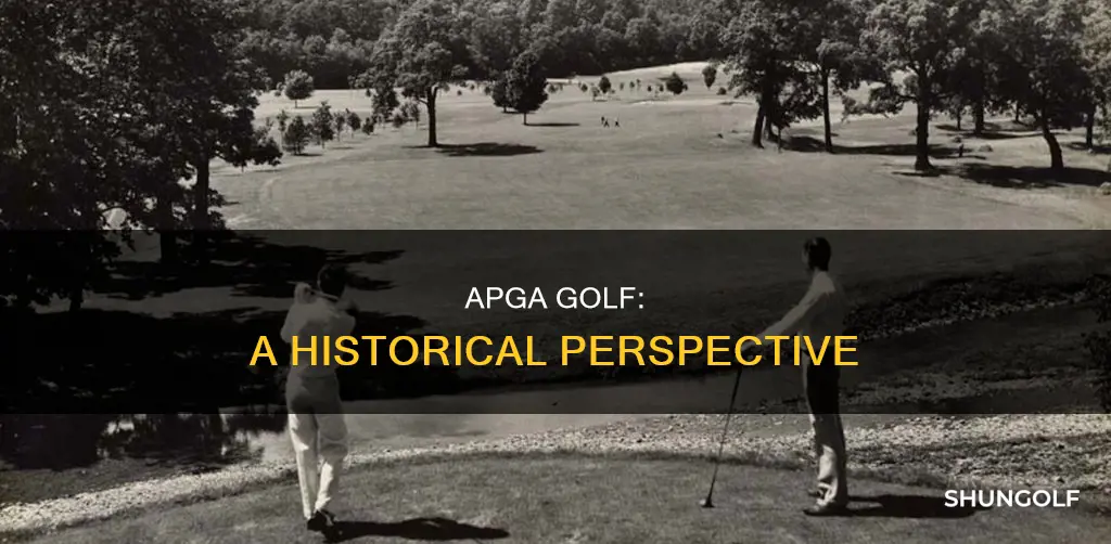 what is apga golf