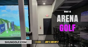 Golf's Newest Evolution: Arena Golf's Appeal
