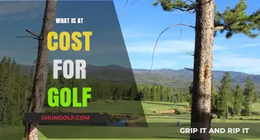 Golf: Playing at Cost