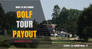 Understanding Average Payouts on the Senior Golf Tour
