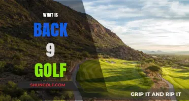 Golf's Back 9: Holes to Glory