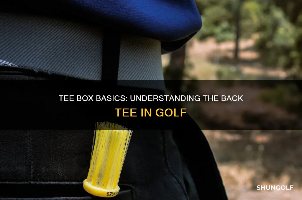 what is back tee in golf