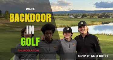 Backdoor Birdies: Golf's Unlikely Winners