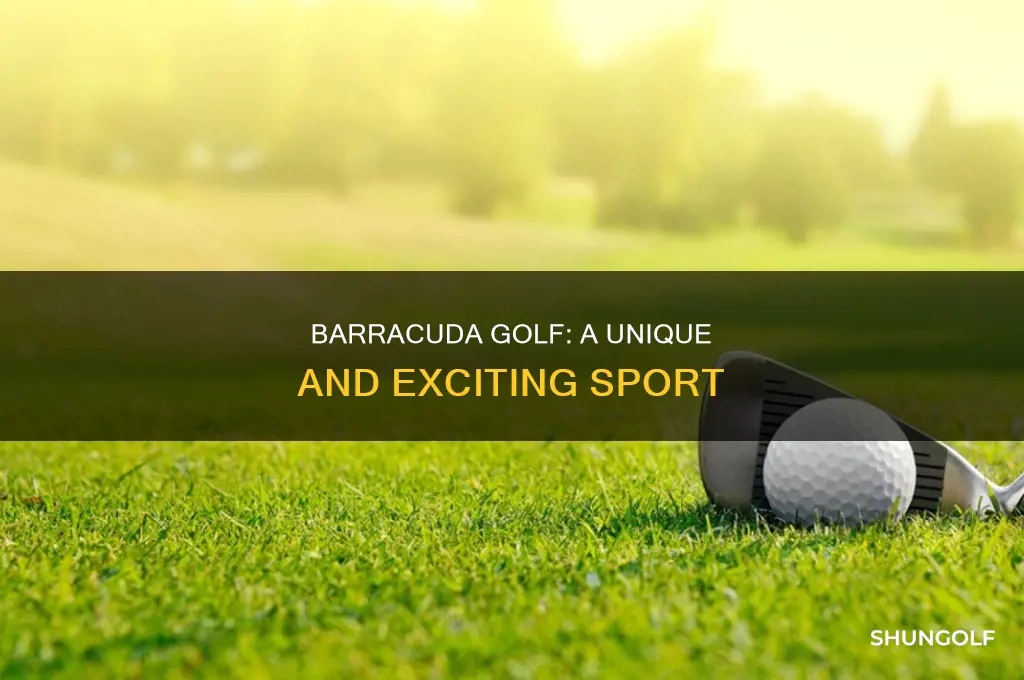 what is barracura golf