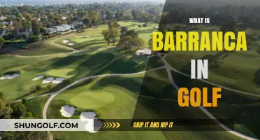 Understanding Barranca: Golf's Unique Challenge