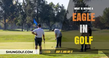 Understanding Golf's Scoring Terms: What Comes Before an Eagle?