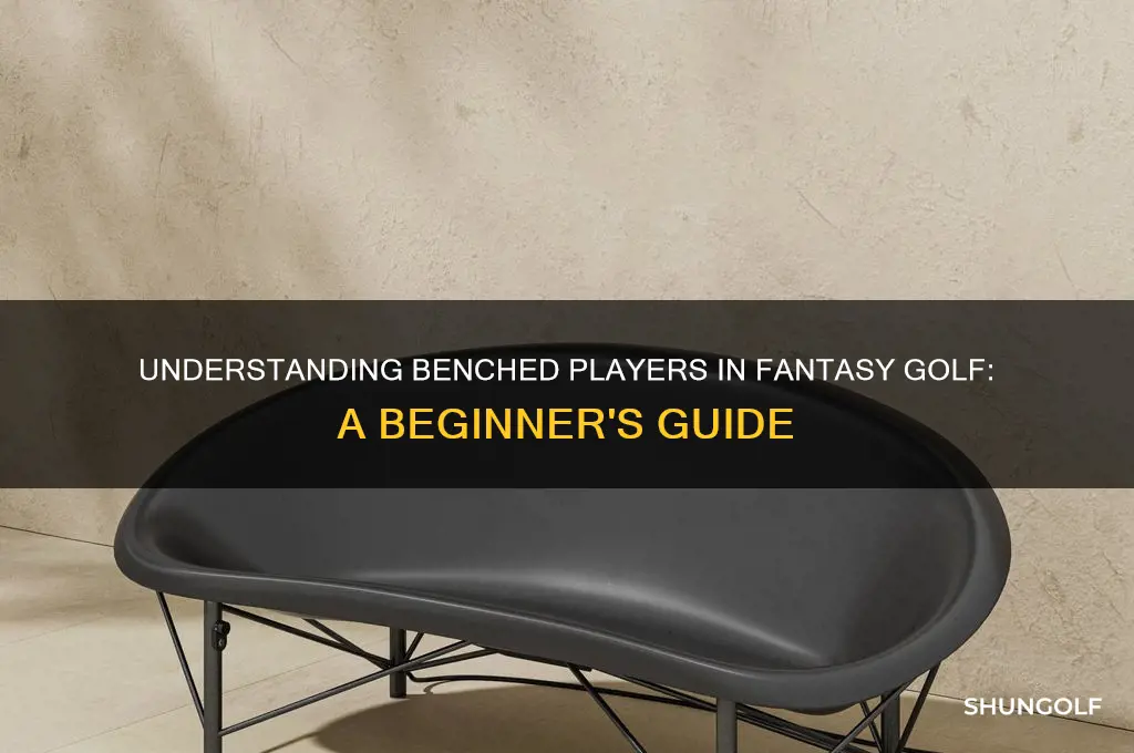 what is benched people in fantasy golf