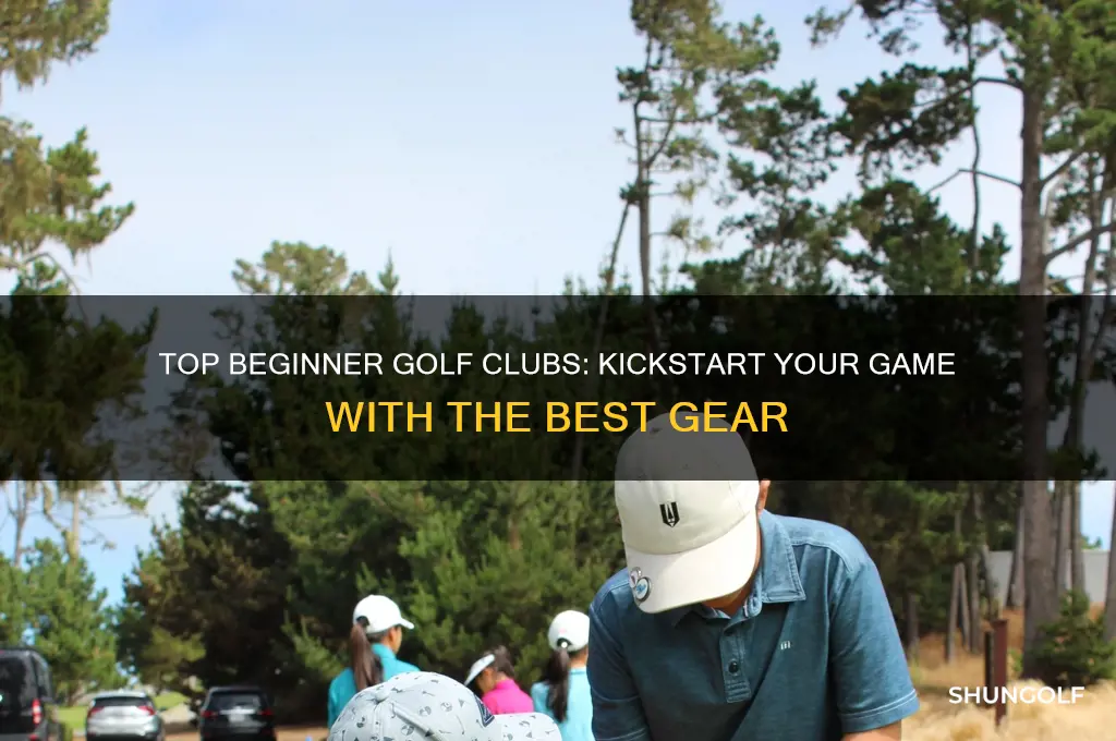 what is best golf clubs for beginners