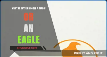 Birdie vs. Eagle: Which Golf Score Boosts Your Game More?