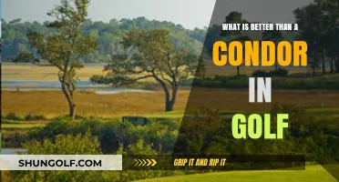 Eagle's Edge: Surpassing the Condor in Golf's Ultimate Achievements