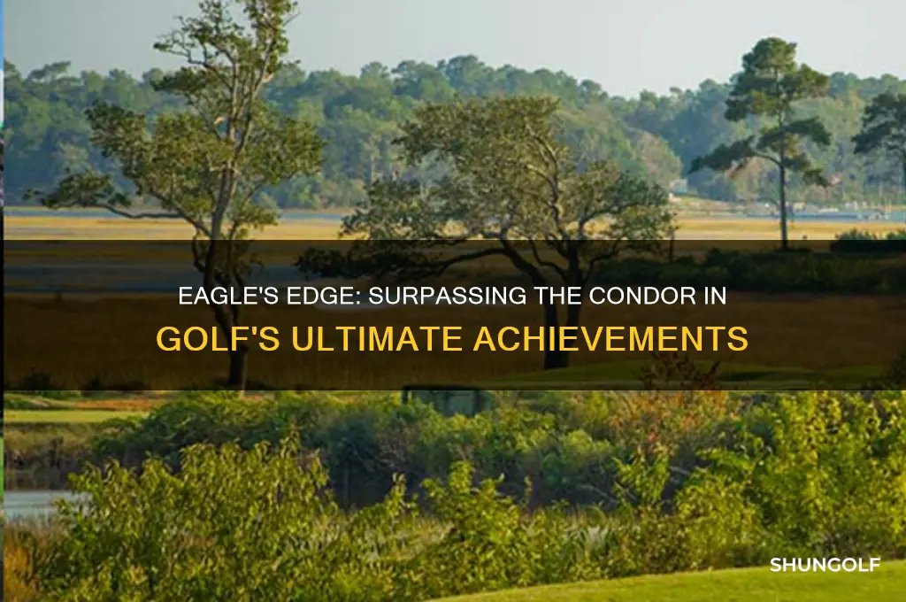 what is better than a condor in golf