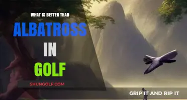 Golf's Ultimate Achievements: Surpassing the Albatross on the Course