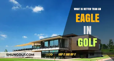 Mastering Golf's Ultimate Glory: Surpassing the Eagle on the Course