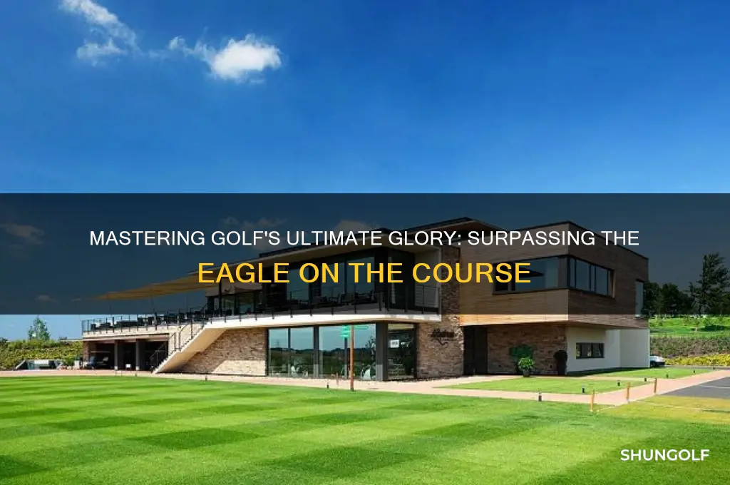 what is better than an eagle in golf