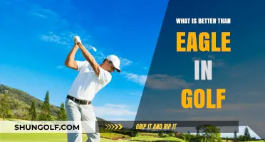 Mastering Golf's Elite Scores: Beyond the Eagle's Reach