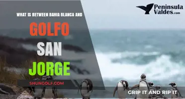 Exploring Patagonia's Hidden Gems: Between Bahia Blanca and Golfo San Jorge