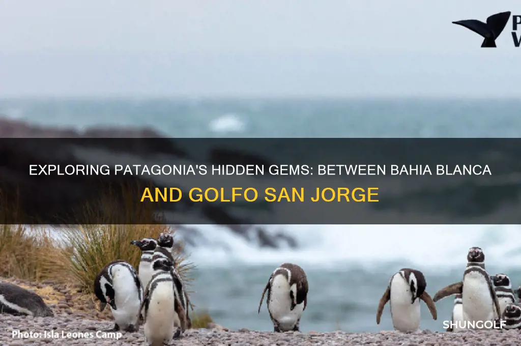 what is between bahia blanca and golfo san jorge