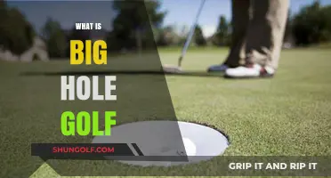 Exploring Big Hole Golf: A Fun Twist on Traditional Golfing