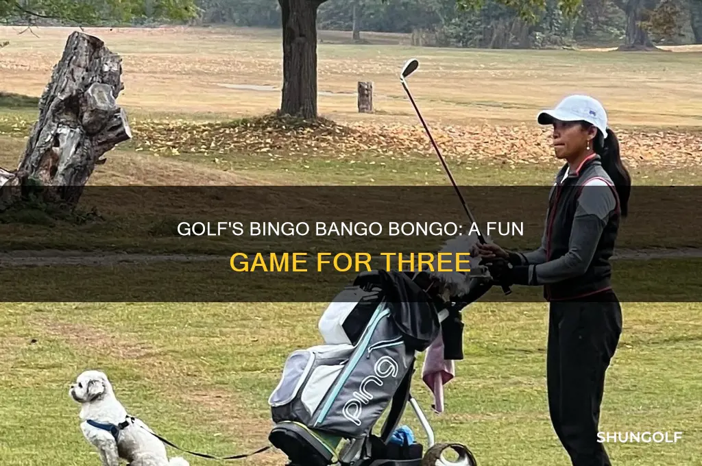 what is bingo bango bongo golf