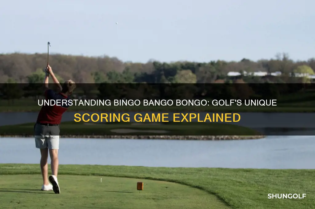 what is bingo bango bongo in golf