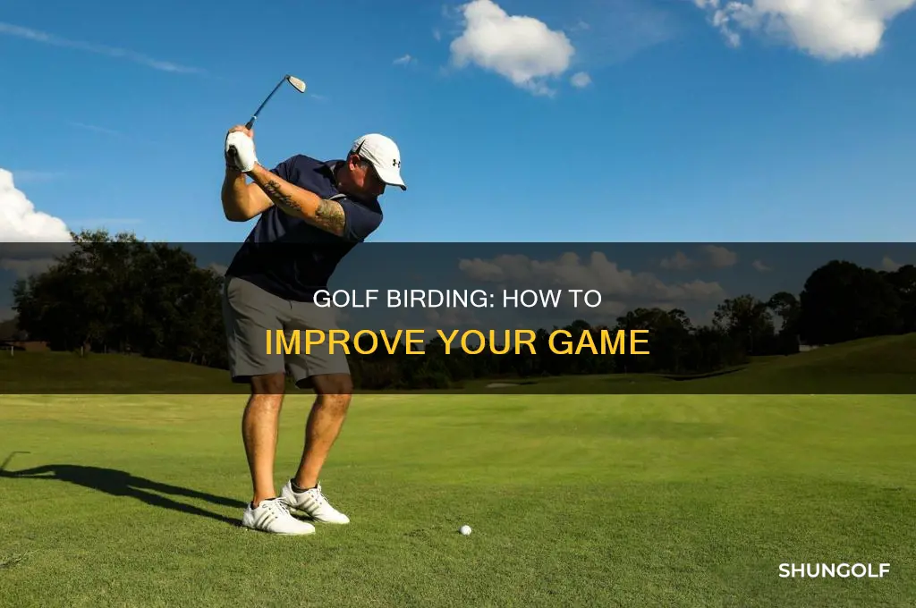 what is birding in golf