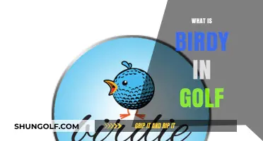Birdies in Golf: What Are They?
