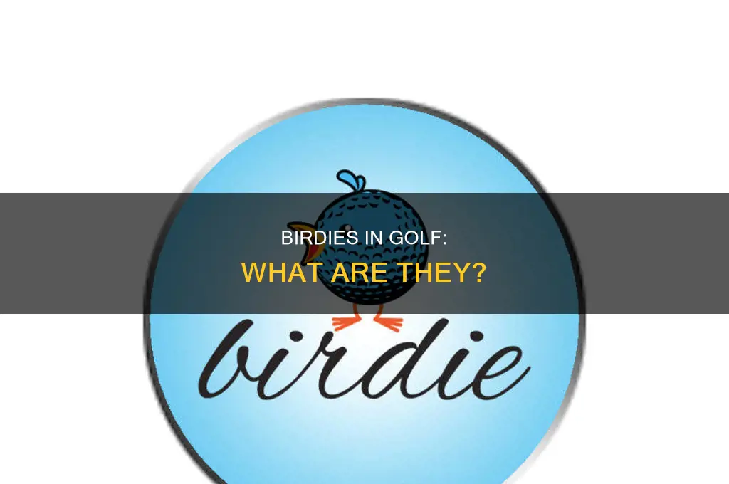 what is birdy in golf