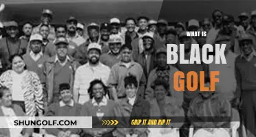 Golf's Black History: A Game for All