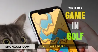 Understanding Blitz Golf: Fast-Paced Rules and Exciting Gameplay Explained