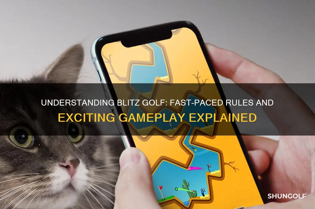 what is blitz game in golf