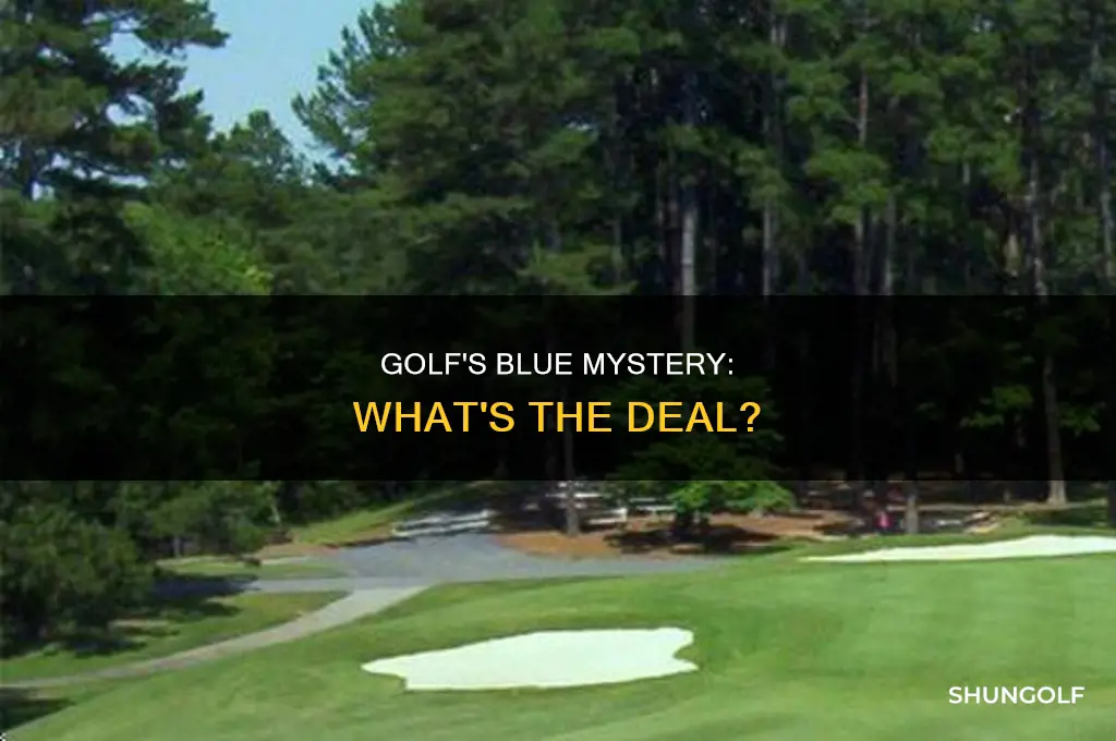 what is blue golf