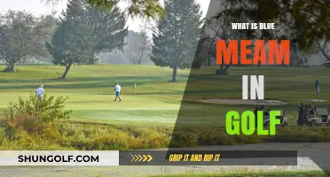 Understanding Golf's Elusive 'Blue Mean