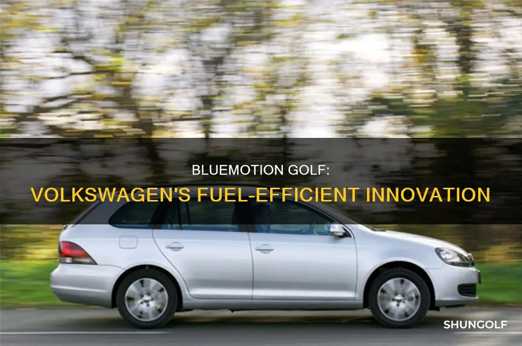 what is bluemotion golf