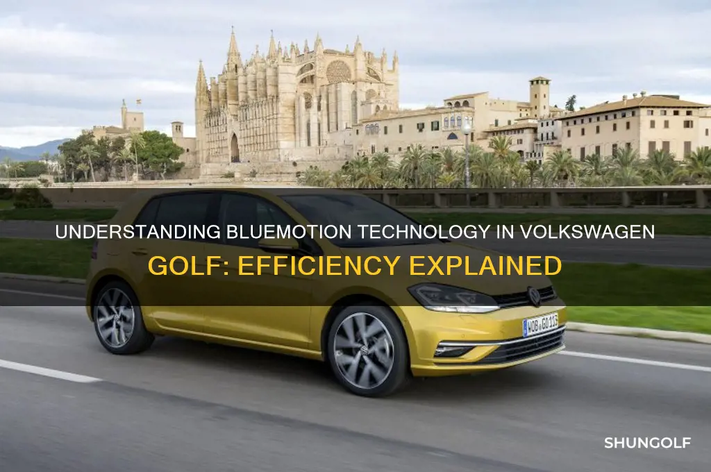 what is bluemotion technology on a golf