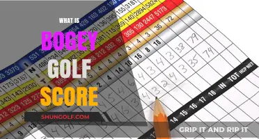 Golfers' Bogey Scores: What's a Good Score?